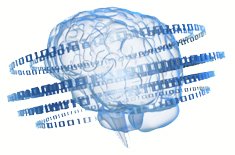 Neuro Medical voor TCD-Doppler, TCDx Holter en Perifere Doppler